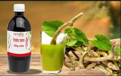 Giloy Juice